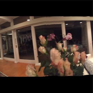 Meet your Posher, Panthea